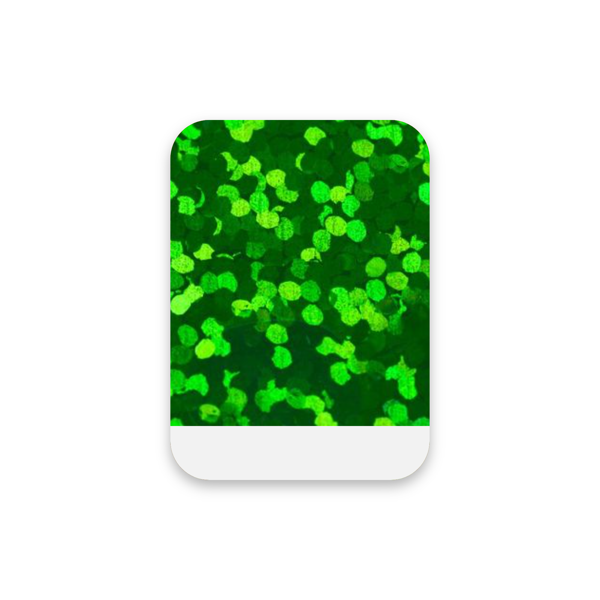 Holographic - HTV 1900 - Ark 30x50 cm