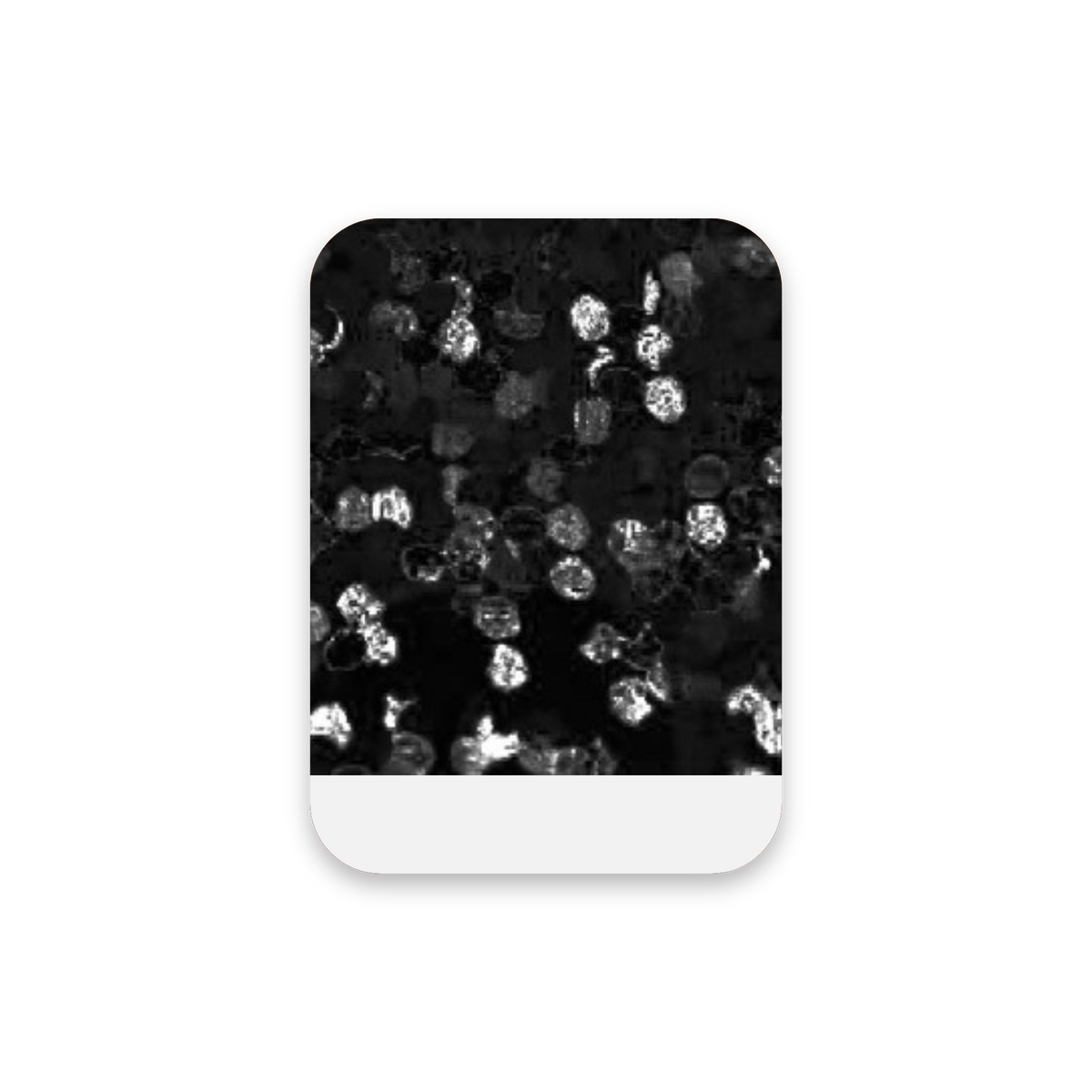 Holographic - HTV 1900 - Ark 30x50 cm