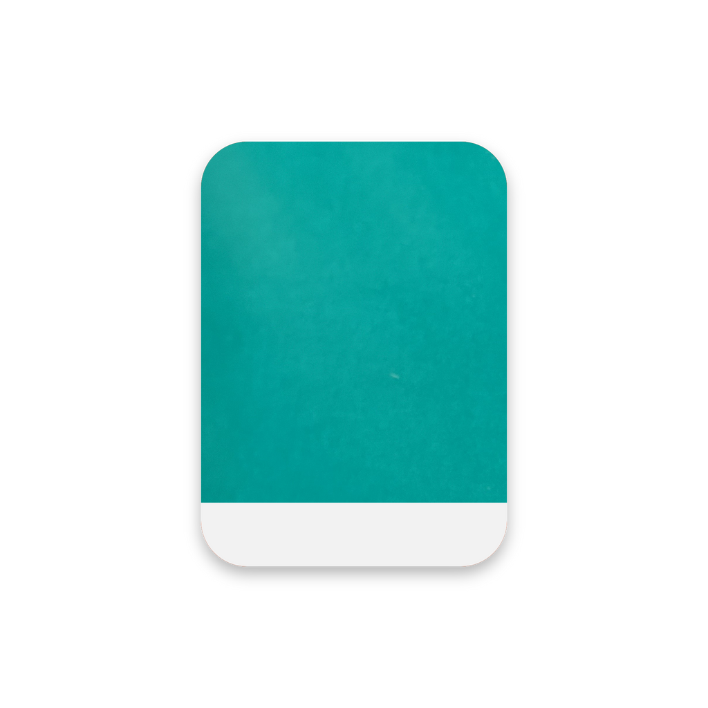 Transparant Vinyl - MV
