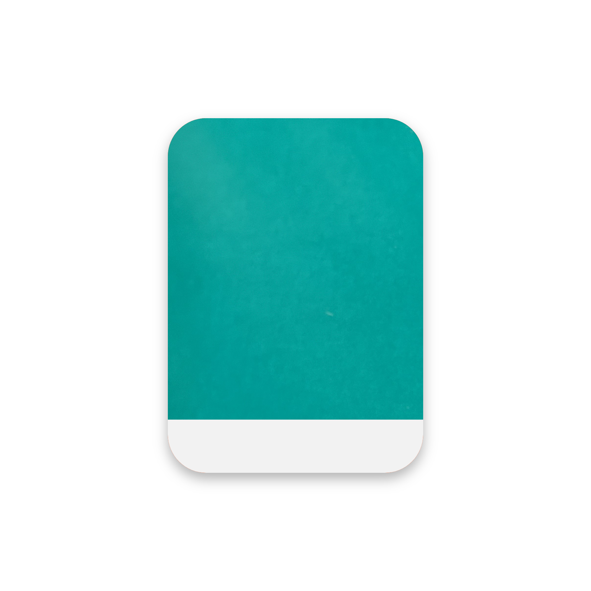 Transparant Vinyl - MV